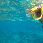 Schnorchelfloh Schnorchelfloh