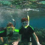 Felix und Floh Felix und Floh