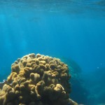 Great Barrier Reef Great Barrier Reef