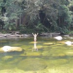 Mossman Gorge Mossman Gorge